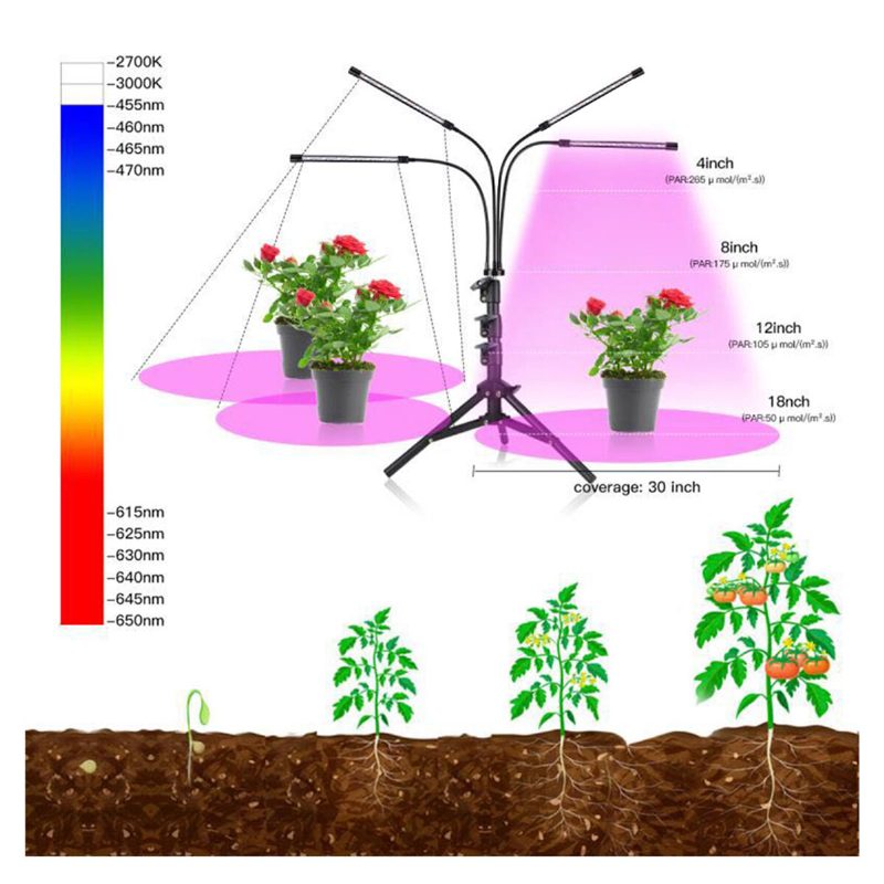 Távirányító 4 Fejes Led-es Növekedési Lámpa Növénytermesztő Háromlábú Beltéri Növények Számára